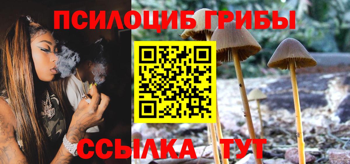 Псилоцибиновые грибы GOLDEN TEACHER  Галлюциногенные грибы Magic Shrooms  Щёкино  Вход с VPN 